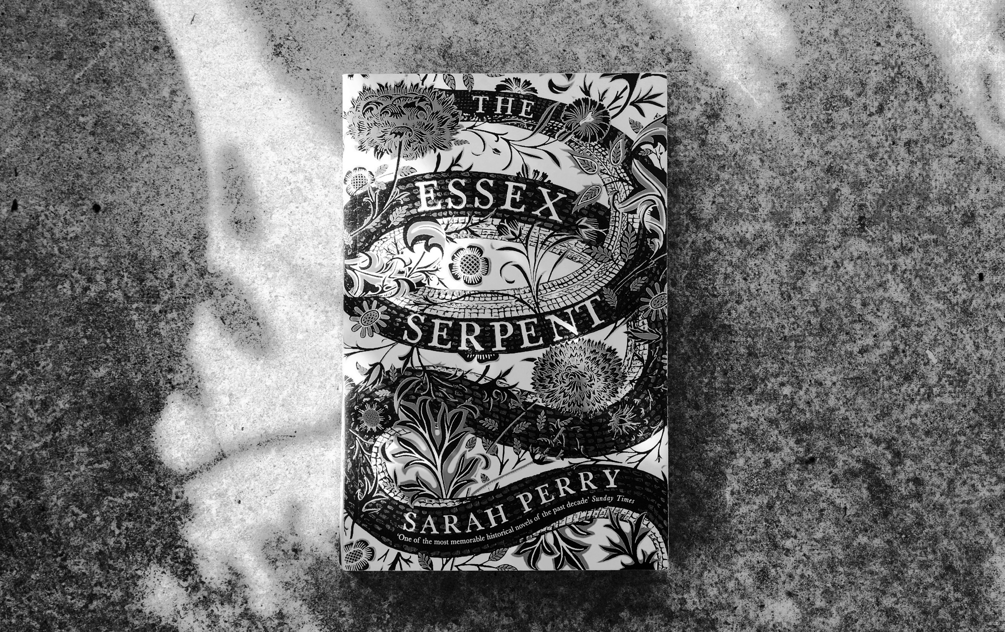 The Essex Serpent book cover